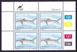 Ciskei - 1983 - Sharks  - Single Control Block - 8c Dusky Shark - Ciskei