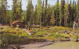 Alaska Fairbanks Homesteader's Cabin On Tanana River - Fairbanks