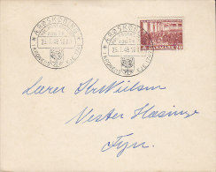 Denmark Sonderstempel ÆRØSKØBING I Kronens Eje 1749, 1949 Cover Brief Danish Constitution 1849 Stamp - Brieven En Documenten