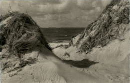 AK Amrum, Dünen Und Meer, Blick Nach Sylt, Gel 1964 - Sylt