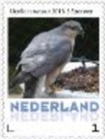 Nederland  2013-3  Ucollect  Sperwer  Vogel -bird - Oiseau Postfris/mnh/neuf - Nuovi