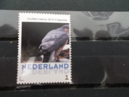 Nederland  2013-3  Ucollect  Sperwer  Vogel -bird - Oiseau  MISPRINT !!! Postfris/mnh/neuf - Nuevos