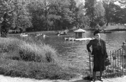 Photo 8,5 X6,5 ; Parc Borely 1940 - Parks, Gärten