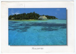 MALDIVES - A PARTIAL VIEW OF THE ISLAND OF BODUHITHI - Maldiven