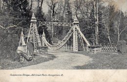 Youngstown OH Mill Creek Park 1905 Postcard - Andere & Zonder Classificatie