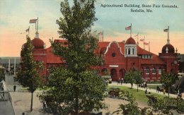 Sedalia MO State Fairs Grounds 1915 Postcard - Otros & Sin Clasificación