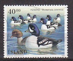 Q1158 - ISLANDE ICELAND Yv N°794 - Used Stamps