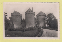 LASSAY --> Château De Lassay, XI° Et XV° Siècles. Entrée Du Parc - Lassay Les Chateaux
