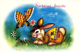 RABBIT AND BUTTERFLY, EASTER GREETING, PC STATIONERY, ENTIERE POSTAUX, 1990, ROMANIA - Hasen