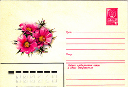 FLOWERS, COVER STATIONERY, ENTIERE POSTAUX, RUSSIA - Other & Unclassified