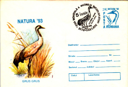 BIRDS, GRUS GRUS, COVER STATIONERY, ENTIERE POSTAUX, 1998, ROMANIA - Ooievaars