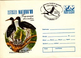 BIRDS, BLACK STORK, COVER STATIONERY, ENTIERE POSTAUX, 1989, ROMANIA - Zwanen