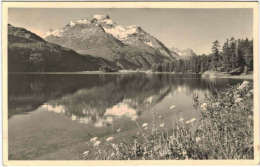 Suisse - Sils Im Engadin - Blick Von Chasté Auf Piz Della MArgna - Sils Im Engadin/Segl