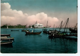 Bellissima Cartolina Anni 50 " MASSAWA A View " - Eritrea