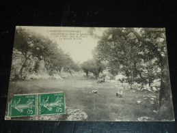 SOUVENIR DU BOIS DE PAIOLIVE - LES VANS - BOIS DE PAIOLIVE LA ROTONDE DE L'OIE - 07 ARDECHE - Les Vans