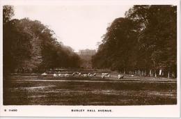 Rutland - Burley Hall Avenue             Ca. 1930 - Rutland