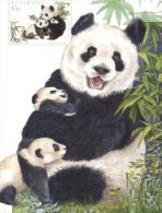 (333) Panda Bears - Panda De Chine - Australian Maximum Card - Beren