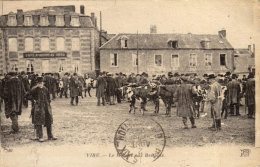 Delcampe - 14 Vire. Le Marché Aux Bestiaux. - Vire
