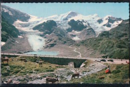 Sustenpass - Sustenstrasse - Steingletscher, Gwächtenhorn Und Tierberge - Berg