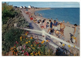 Damgan - Pénerf, Plage De La Folie, Animée, 1974, C.I.M. E 56. 052. 11 - Damgan