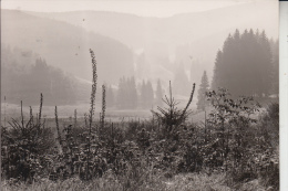 5920 BAD BERLEBURG, Morgennebel Im Breitenbachtal - Bad Berleburg