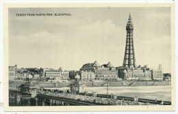 Tower From North Pier, Blackpool - Blackpool