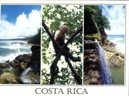 (897) Costa Rica With Monkey - Costa Rica