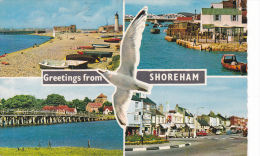 ANGLETERRE, SUSSEX, WORTHING, GREETINGS FROM SHOREHAM - Worthing