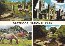 ANGLETERRE, DEVON, EXETER, DARTMOOR NATIONAL PARK - Exeter