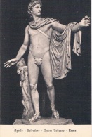APOLLO - BELVEDERE - Museo Vaticano - ROMA - TBE, Carte Petit Format, Neuve - Musées