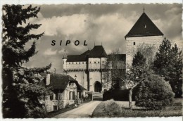 Le Vieil Annecy Le Chateau Des Ducs De Nemours  Voyagé En 1951 Dentelée Petit Format TBE - Annecy-le-Vieux