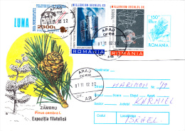 MAIL SENT TO ISRAEL WITH OVERPRINT STAMPS, SATTELITE, PINE, COVER, 2002, ROMANIA - Covers & Documents