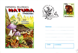 HEDGEHOGM MUSHROOMS, COVER STATIONERY, ENTIERE POSTAUX, 1998, ROMANIA - Rongeurs