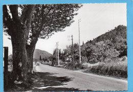 La ROQUEBRUSSANNE-sortie Du Village-route De Brignolles -beau Plan -édition Combier -années 40-50 - La Roquebrussanne