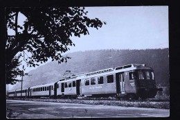 CHEMIN DE FER DU VAL DE TAVERS - Gares - Avec Trains