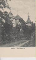 Laubach Hessen Schloss Sw Um 1920 - Laubach