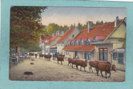 BAD  HARZBURGH  -  Molkenhaus  -  1912   -  BELLE CARTE  - - Bad Harzburg