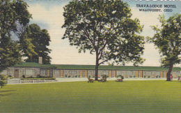 Ohio Willoughby Trava-Lodge Motel Curteich - Other & Unclassified