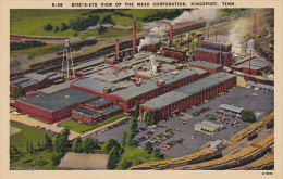 Tennessee Kingsport Birds Eye View Mead Coporation - Johnson City