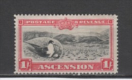 (SA0040) ASCENSION, 1934 (Sooty Tern, 1 Sh., Carmine And Black). Mi # 29. Mint Hinged* Stamp - Ascension (Ile De L')