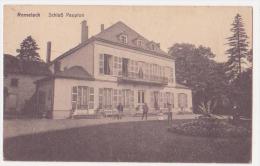 Carte Postale Ancienne "Remelach"  Schloss Peupion - Lothringen