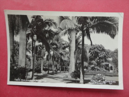 Rppc    Brazil > São Paulo  Jardin Da Luz  Cancel To USA   Ref  978 - São Paulo