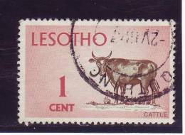 Lesotho YV 150 O 1967 Zébu - Vaches