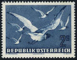 Austria C56 Mint Hinged 2s Blackheaded Gulls Airmail From 1950 - Other & Unclassified