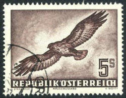 Austria C58 Used 5s Buzzard Airmail From 1953 - Sonstige & Ohne Zuordnung