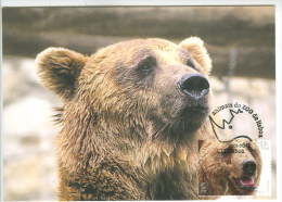 OURS Brun Animaux Du Zoo De Lisbonne 2001 Carte Maximum Portugal Brown BEAR Lisbon Zoo Animals 2001 Maximum Card - Maximumkarten (MC)