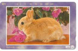 JAPON  TELECARTE LAPIN N° 231-291 - Rabbits