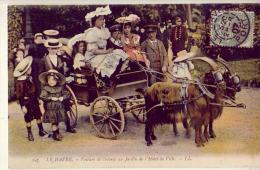 Le Havre  76  Voiture A Chèvres - Ohne Zuordnung