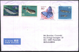 Mailed Cover (letter) With Stamps Fauna Fishes Butterfly From  Japan - Briefe U. Dokumente