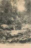 Mai13 1557 : Grande Comore  -  Torrent - Comores